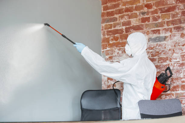 Best Biohazard Mold Removal  in Elroy, WI