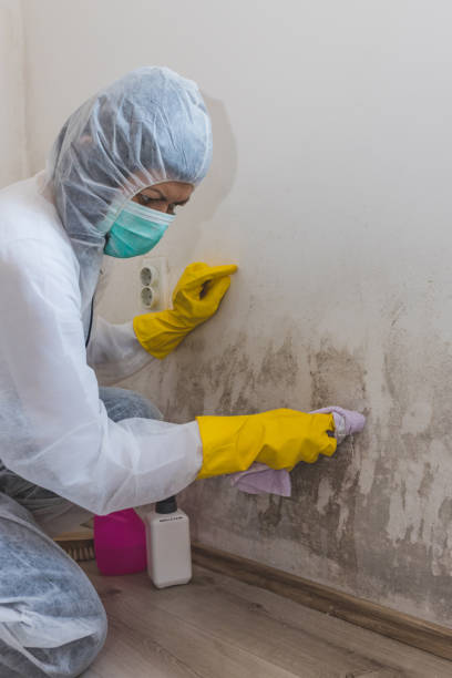 Forensic Mold Investigation in Elroy, WI