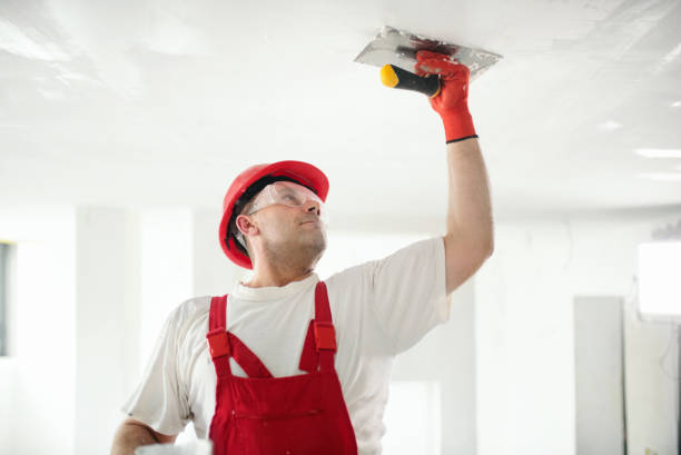 Best Mold Odor Removal Services  in Elroy, WI