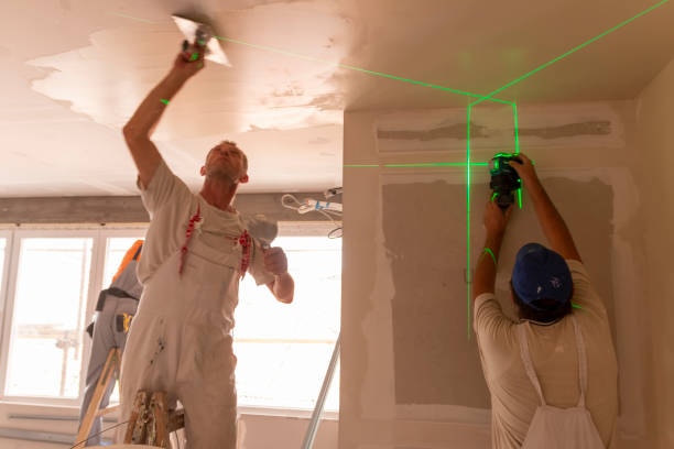 Best Mold Damage Restoration  in Elroy, WI