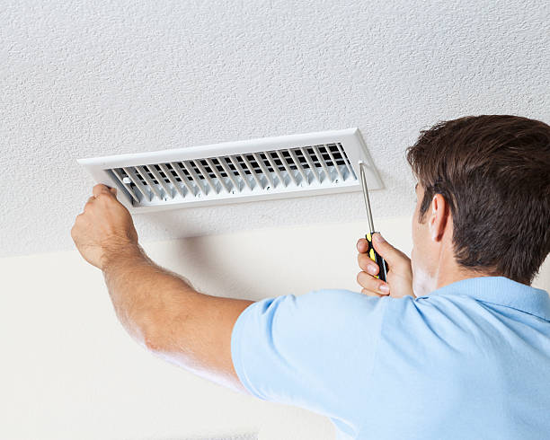 Trusted Elroy, WI Mold Removal Experts