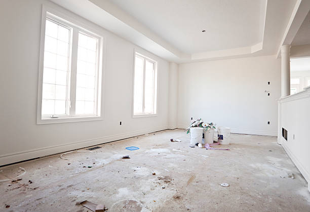 Best Basement Mold Removal  in Elroy, WI