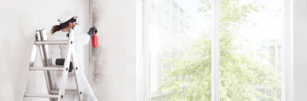 Best Real Estate Mold Inspection  in Elroy, WI